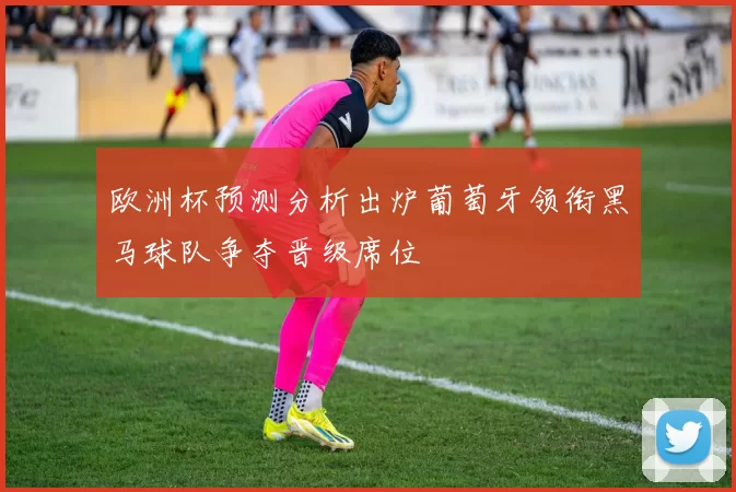 欧洲杯预测分析出炉葡萄牙领衔黑马球队争夺晋级席位