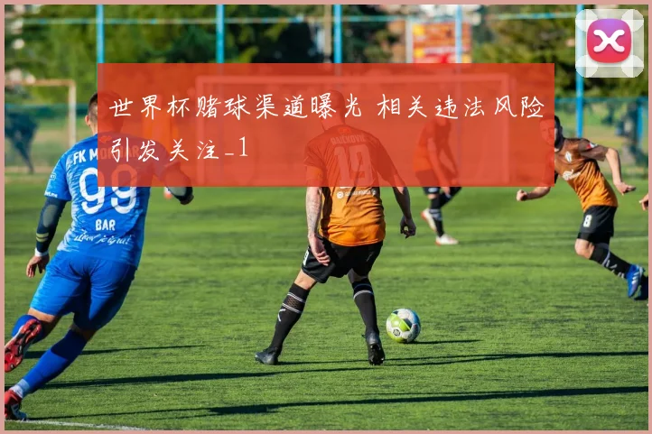 世界杯赌球渠道曝光 相关违法风险引发关注_1