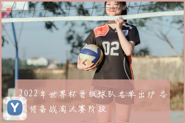 2022年世界杯晋级球队名单出炉 各队将备战淘汰赛阶段