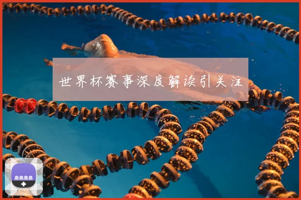 世界杯赛事深度解读引关注