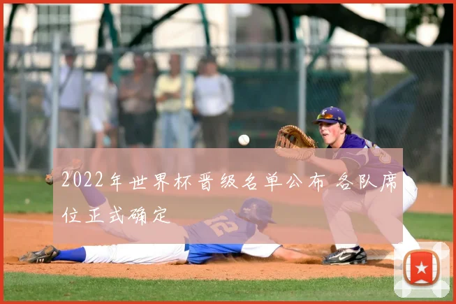 2022年世界杯晋级名单公布 各队席位正式确定
